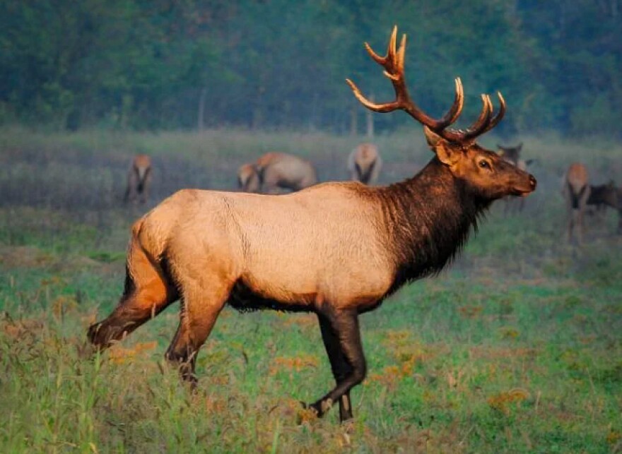 Around Kansas City, you can get close to nature at these wildlife refuges and conservation areas