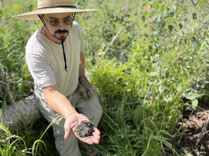 In a burn scar on Basalt Mountain, artists mobilize to help restore the landscape