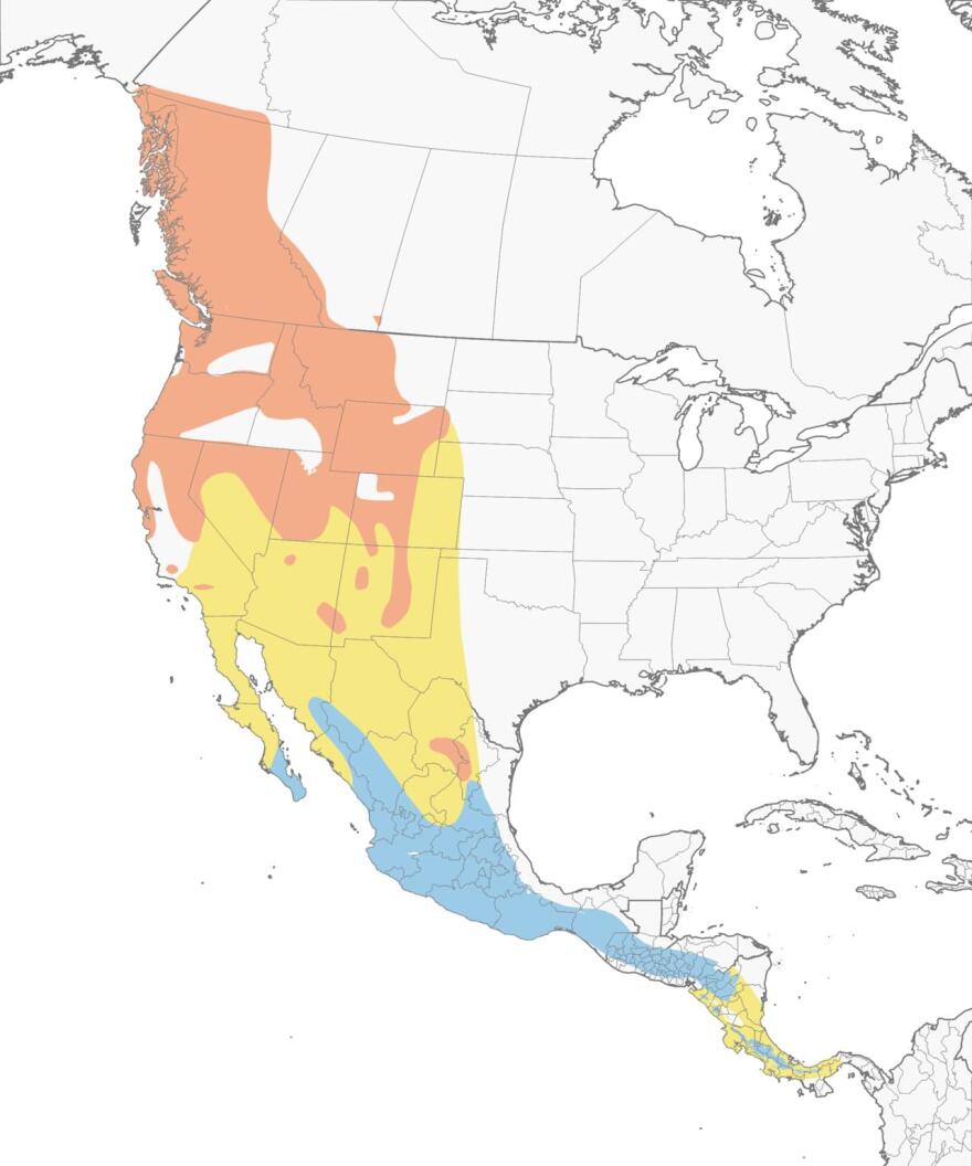 ‘Canary in the coal mine’: Bird populations showing the impact of climate change