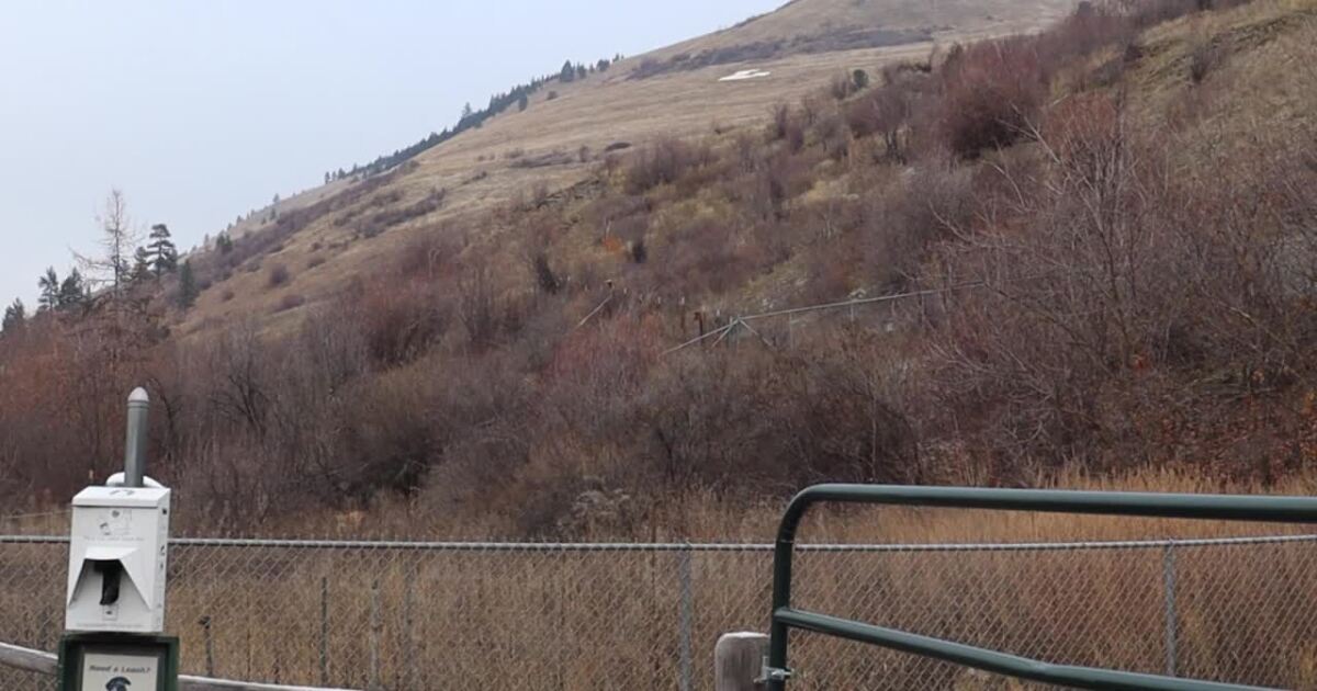 Winter wildlife closures on Mt. Jumbo, Mt. Dean Stone beginning in Missoula