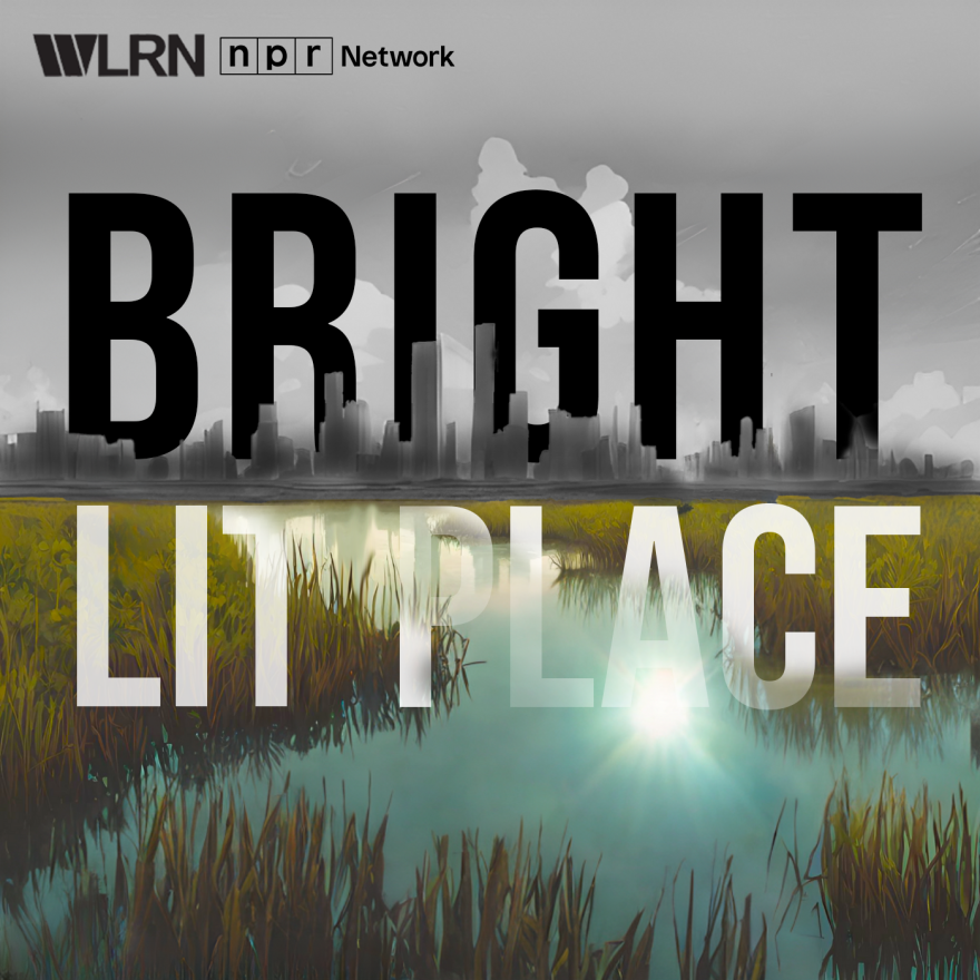 The Everglades is dying. Our new podcast looks at the struggle to save it – and the costs of failure