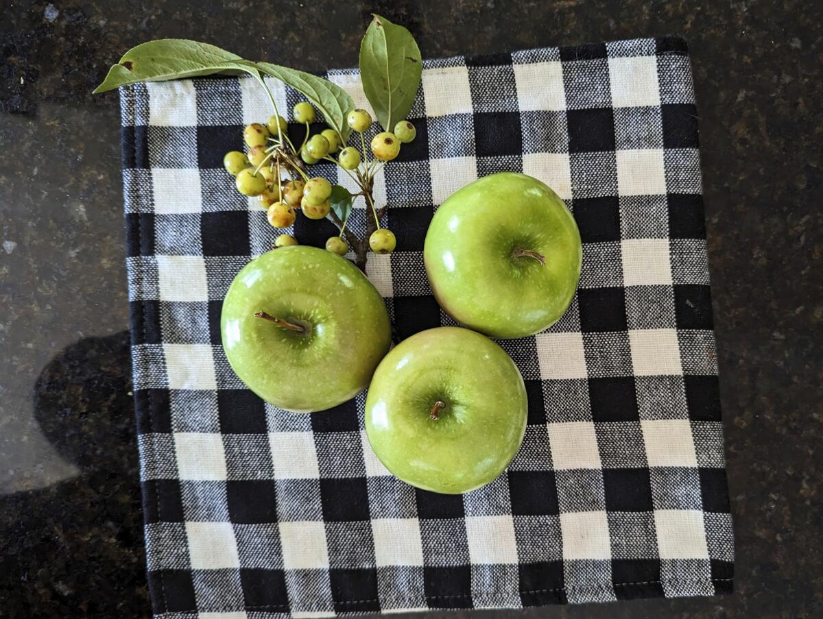 Here are some fun food games to eat up for fall