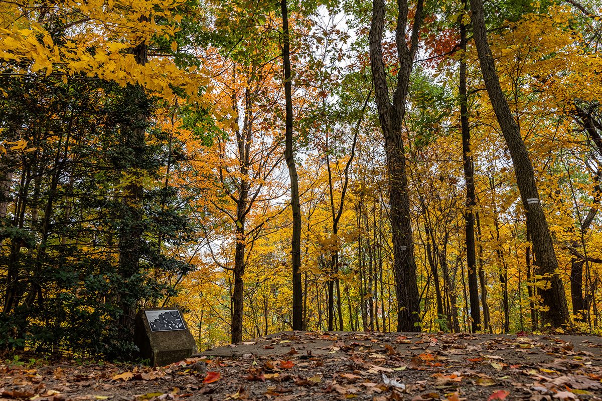 Core family estate gifts strengthen nature, history resources at WVU