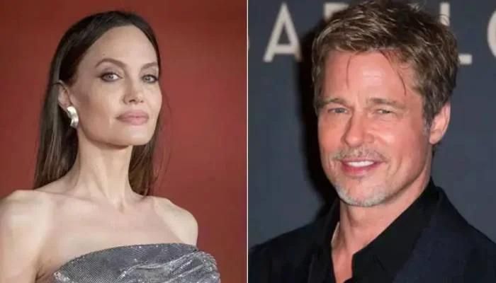 Brad Pitt Sues Angelina Jolie Again Over a French Winery and Finally Calls Her Out