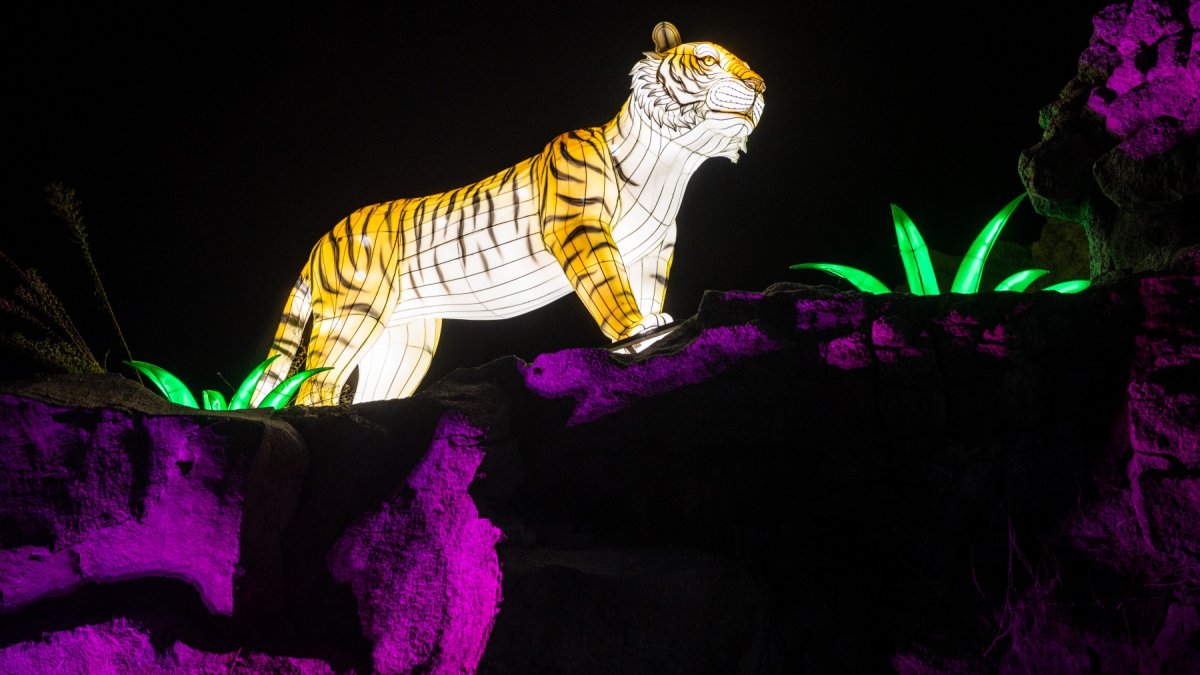 Things to do this weekend: Bask in the whimsy and wonder of ‘LA Zoo Lights’