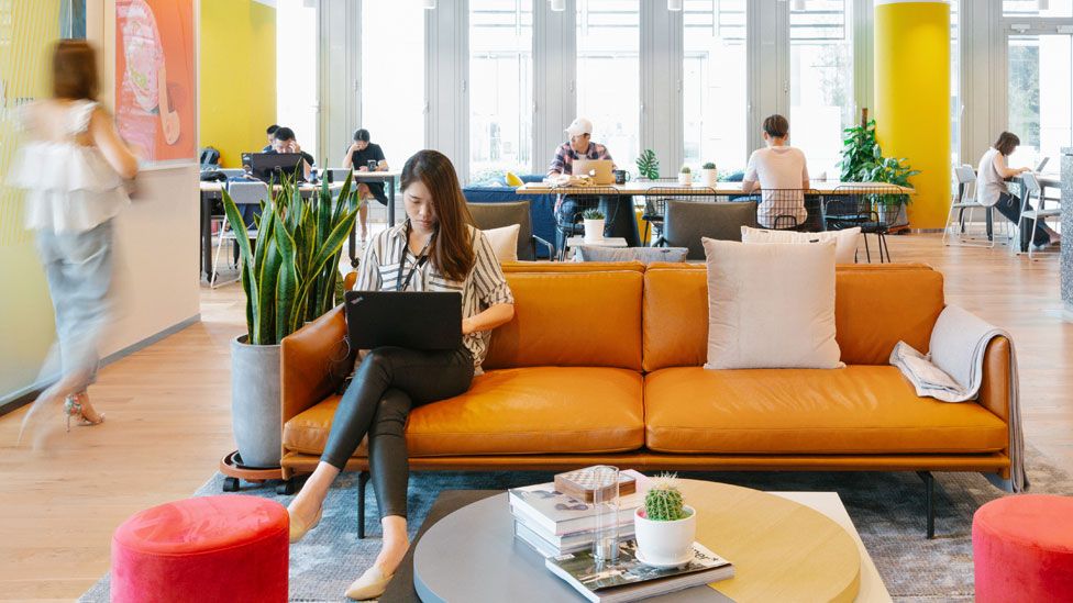 WeWork files for bankruptcy in the US