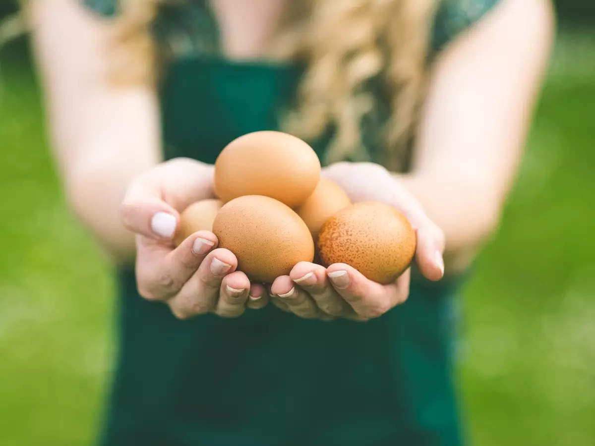 Boiled egg vs Omelette, which one has more nutrition?  | The Times of India