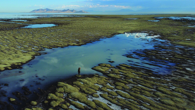 Nevada’s strategy to conserve water may be used by Utah nonprofit to save the Great Salt Lake