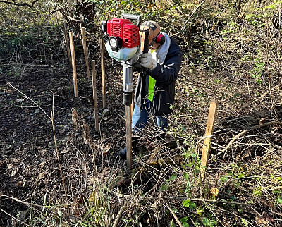 Dam good engineering! Beaver dams the blueprint for conservation