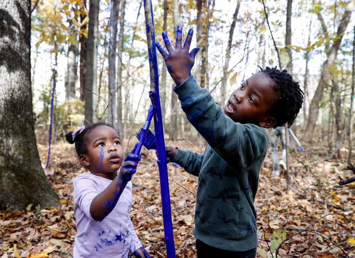 Colored trees project brings audio and visual experience to the Greenway