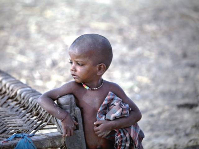 Political solution to malnutrition urged