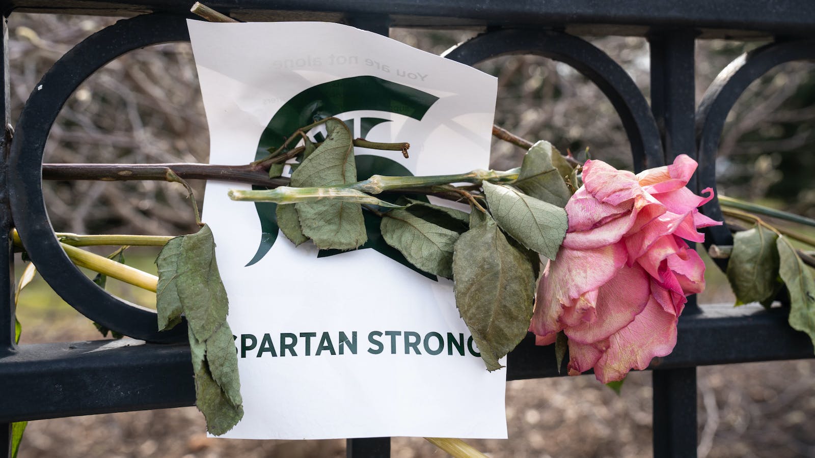 Spartan Strong Fund mental health reimbursements remain inaccessible