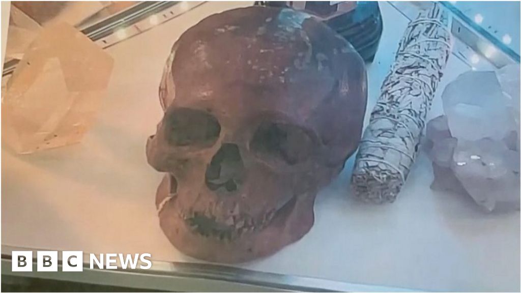 Human skull found in charity shop’s Halloween section