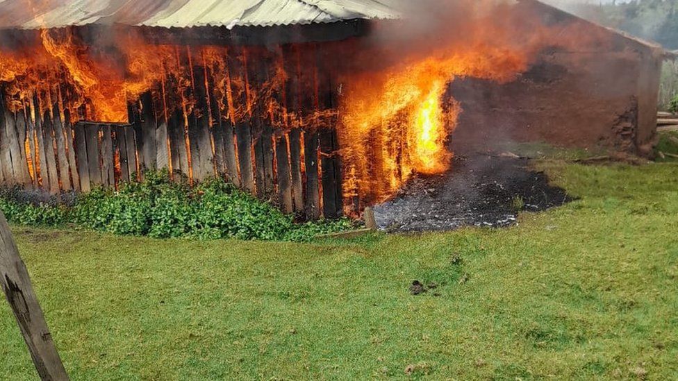 Kenya’s Ogiek people being evicted for carbon credits