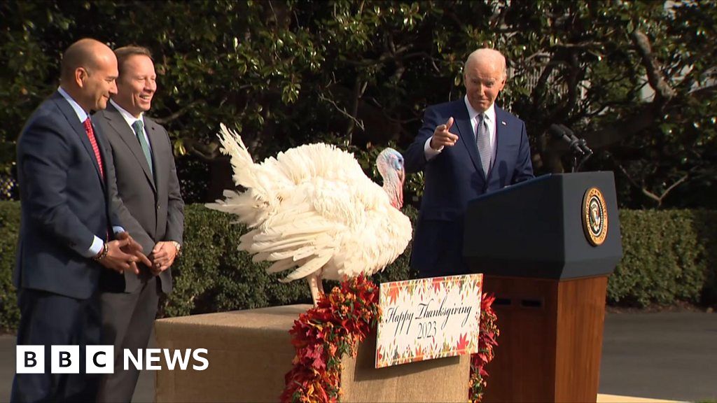 Biden pardons Thanksgiving turkeys on his birthday