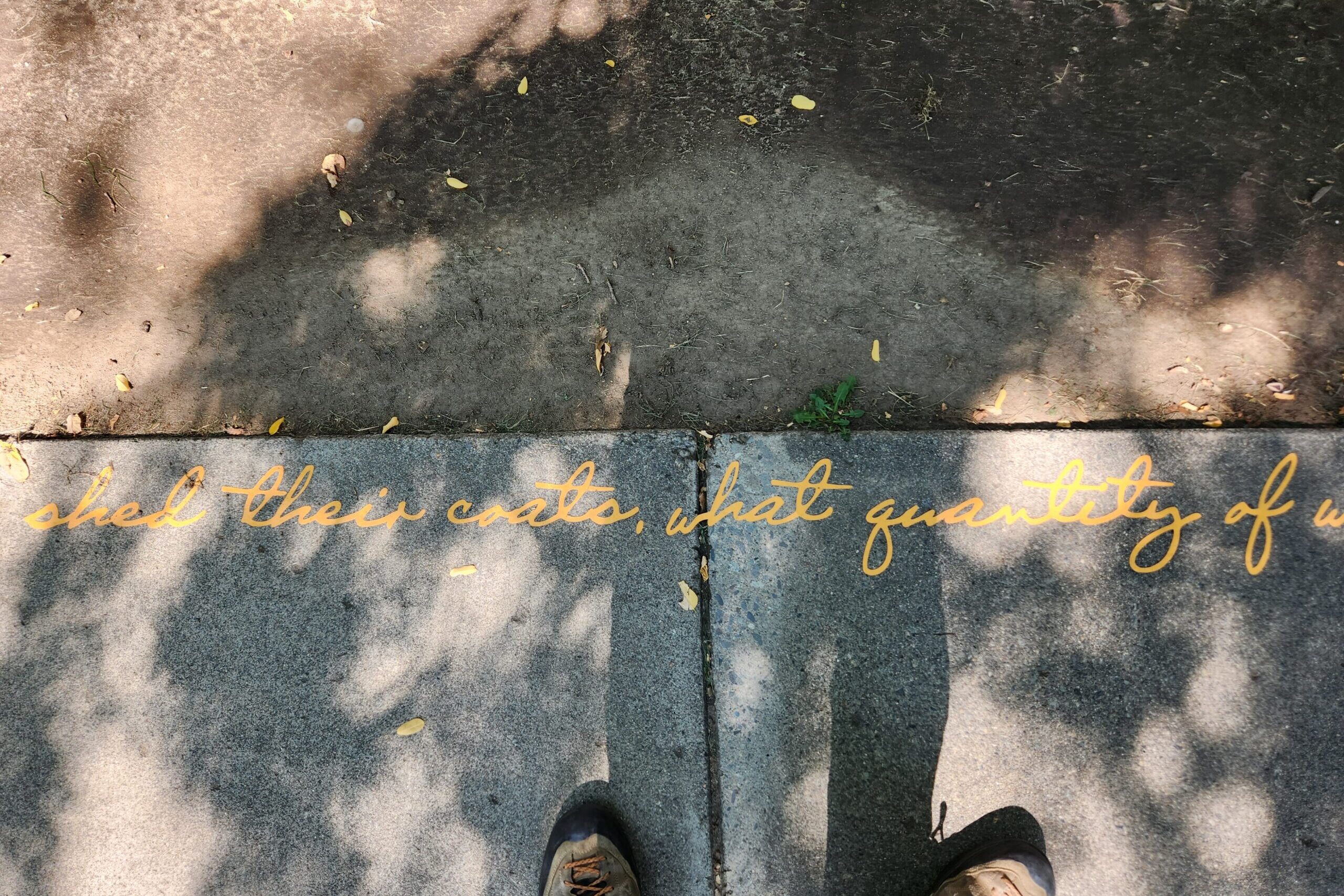 Artist uses Truckee River sidewalk poem to meditate on science, time, place