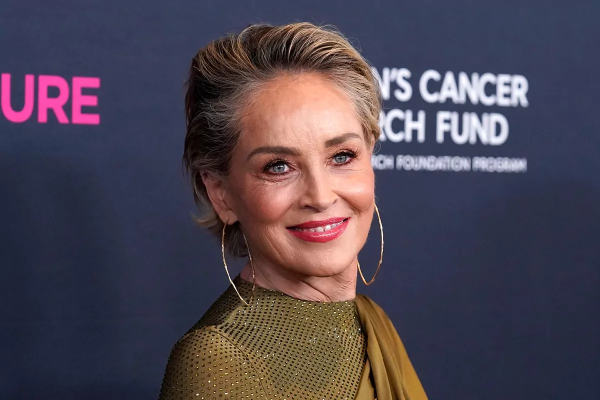 Sharon Stone got candid and accuses Sony exec: “He flashed himself in my face during a meeting”