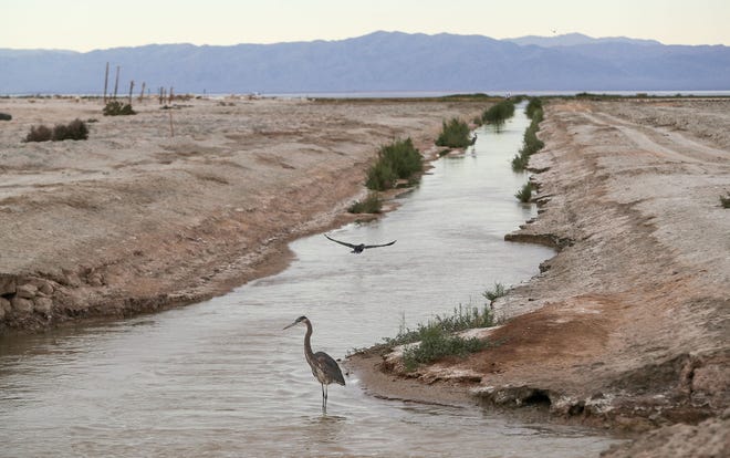 As the first major project at the Salton Sea nears completion, what’s next?
