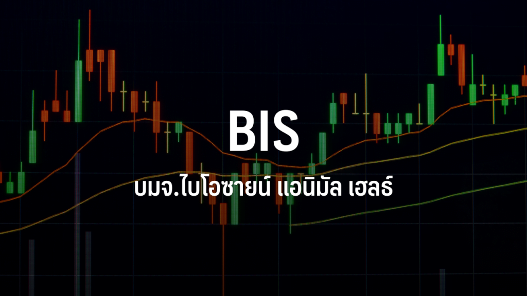 BIS เข้าร่วมทุน 15% ในธุรกิจเทรดดิ้งสินค้าปศุสัตว์-สัตว์เลี้ยงในเวียดนาม : อินโฟเควสท์