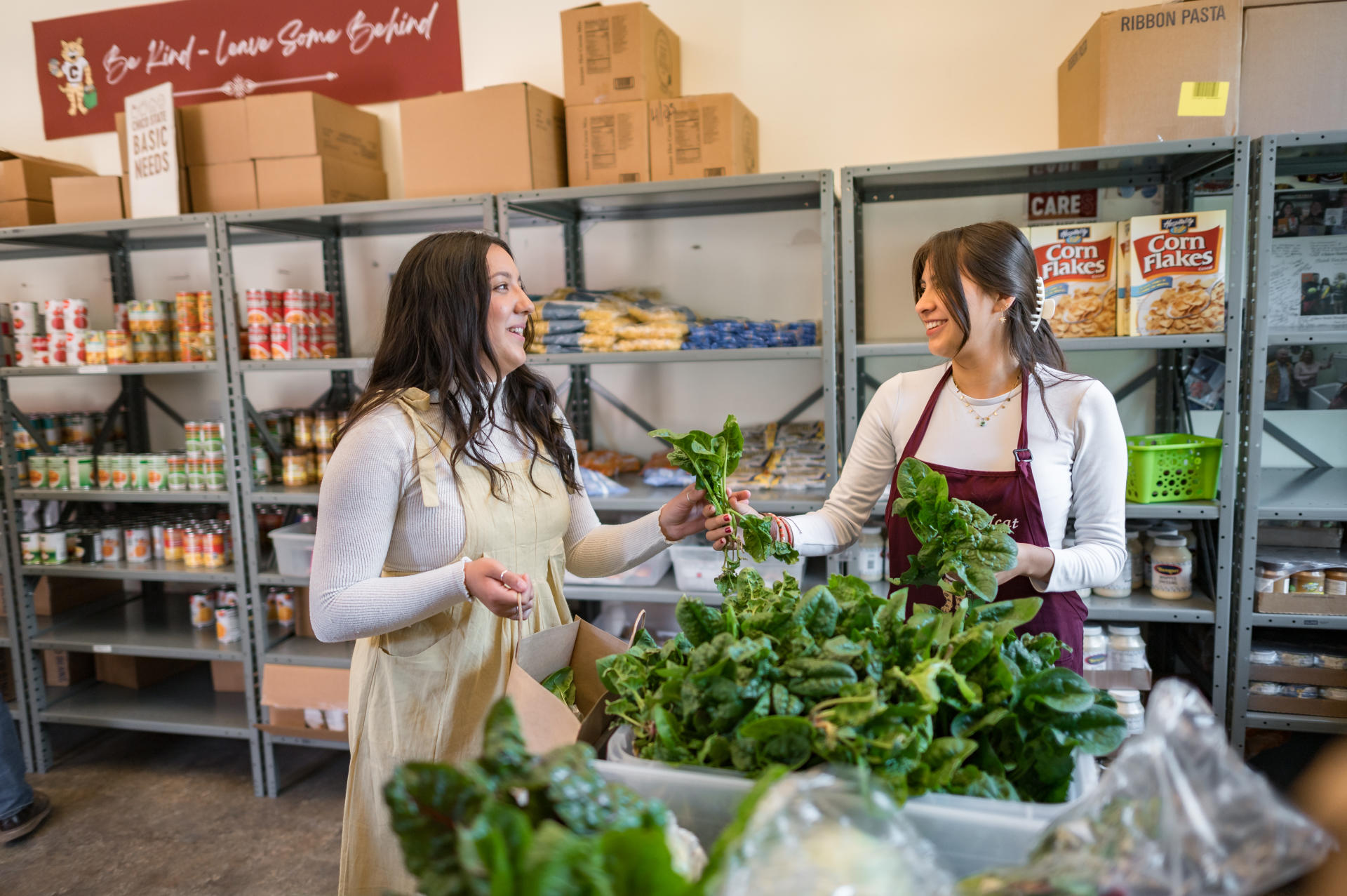 Chico State’s Hungry Wildcat Food Pantry Celebrates 10th Anniversary