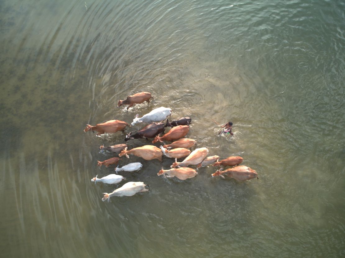 Flood, drought and plastic pollution: Environmental Photographer of the Year competition shows a planet in peril