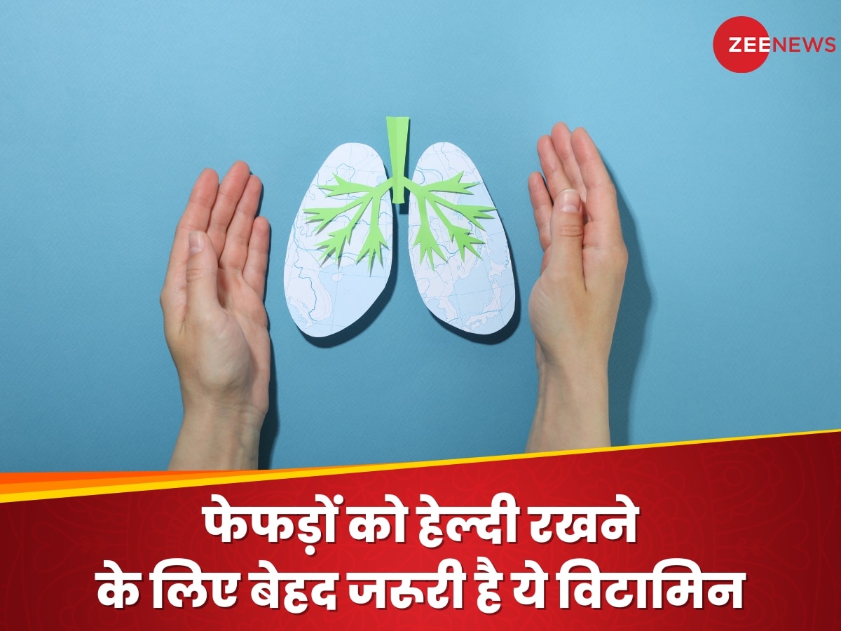 Lungs Health: फेफड़ों की सेहत को बिगाड़ देती है इस विटामिन की कमी, डाइट में जरूर शामिल करें ये 5 फूड