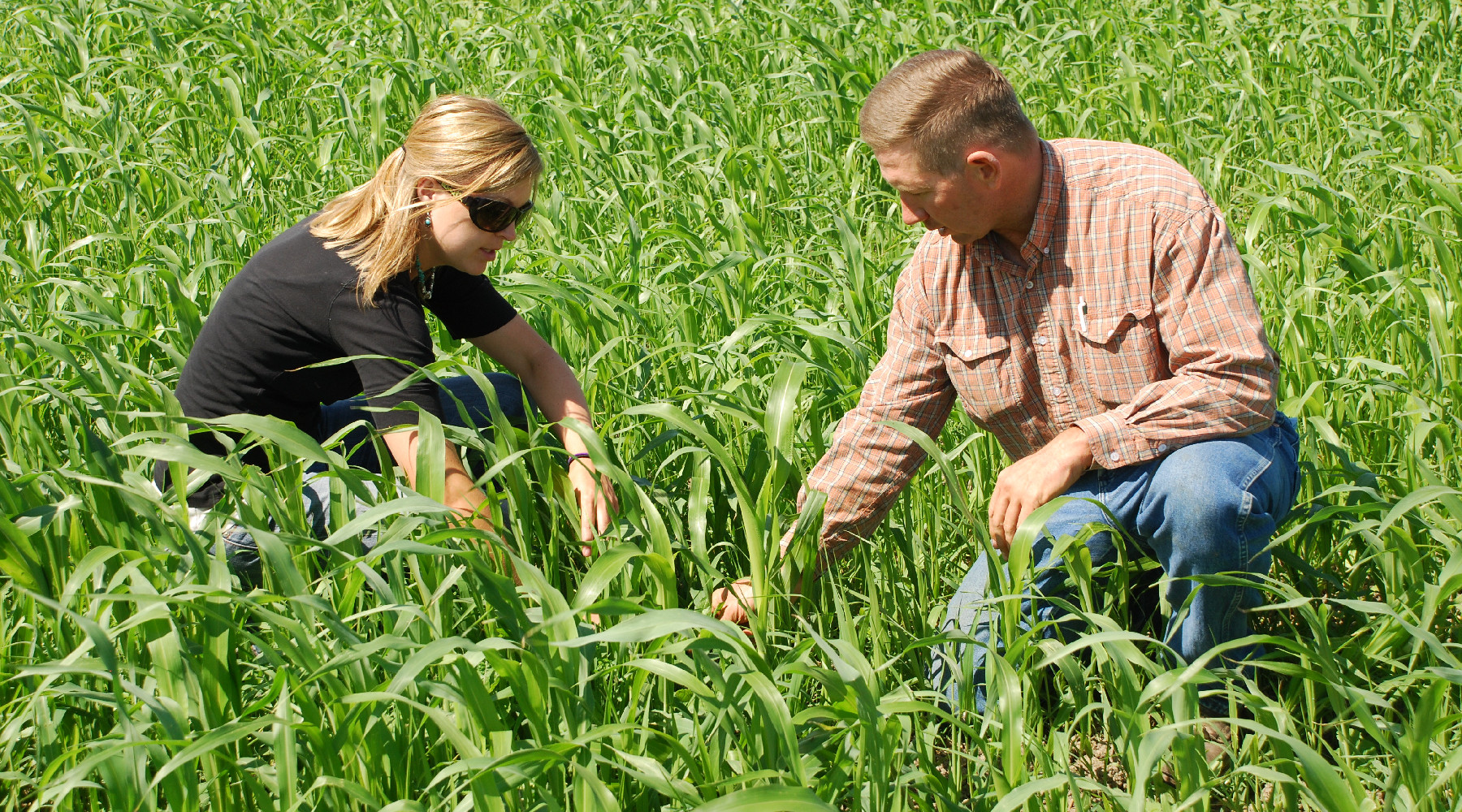 NH Conservation Districts Announce 2024 Round of Climate Resilience Grant Program