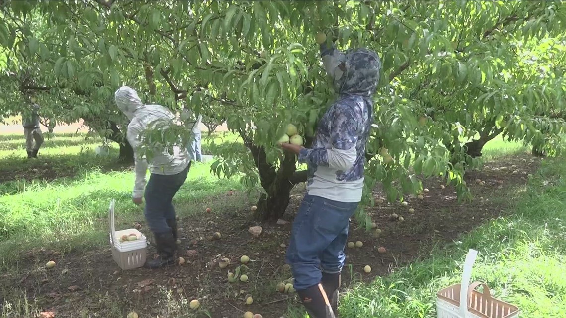 Georgia farmers dealing with mental health crisis