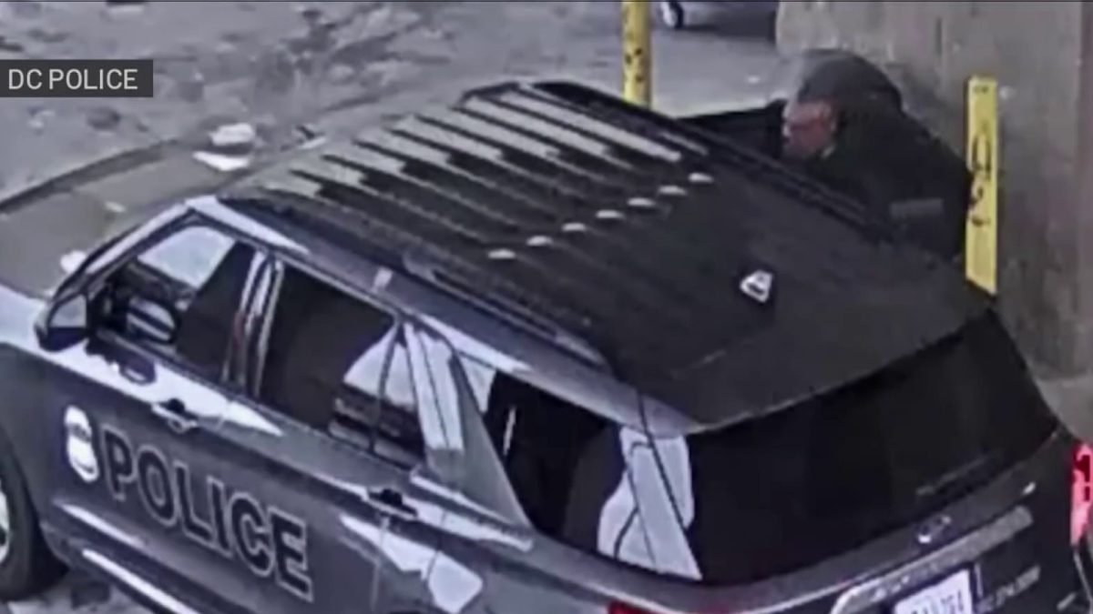 Video shows man using stolen police car for shopping trip