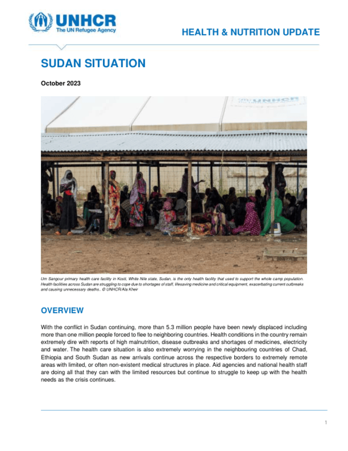 Sudan Situation – Health & Nutrition Update (October 2023)