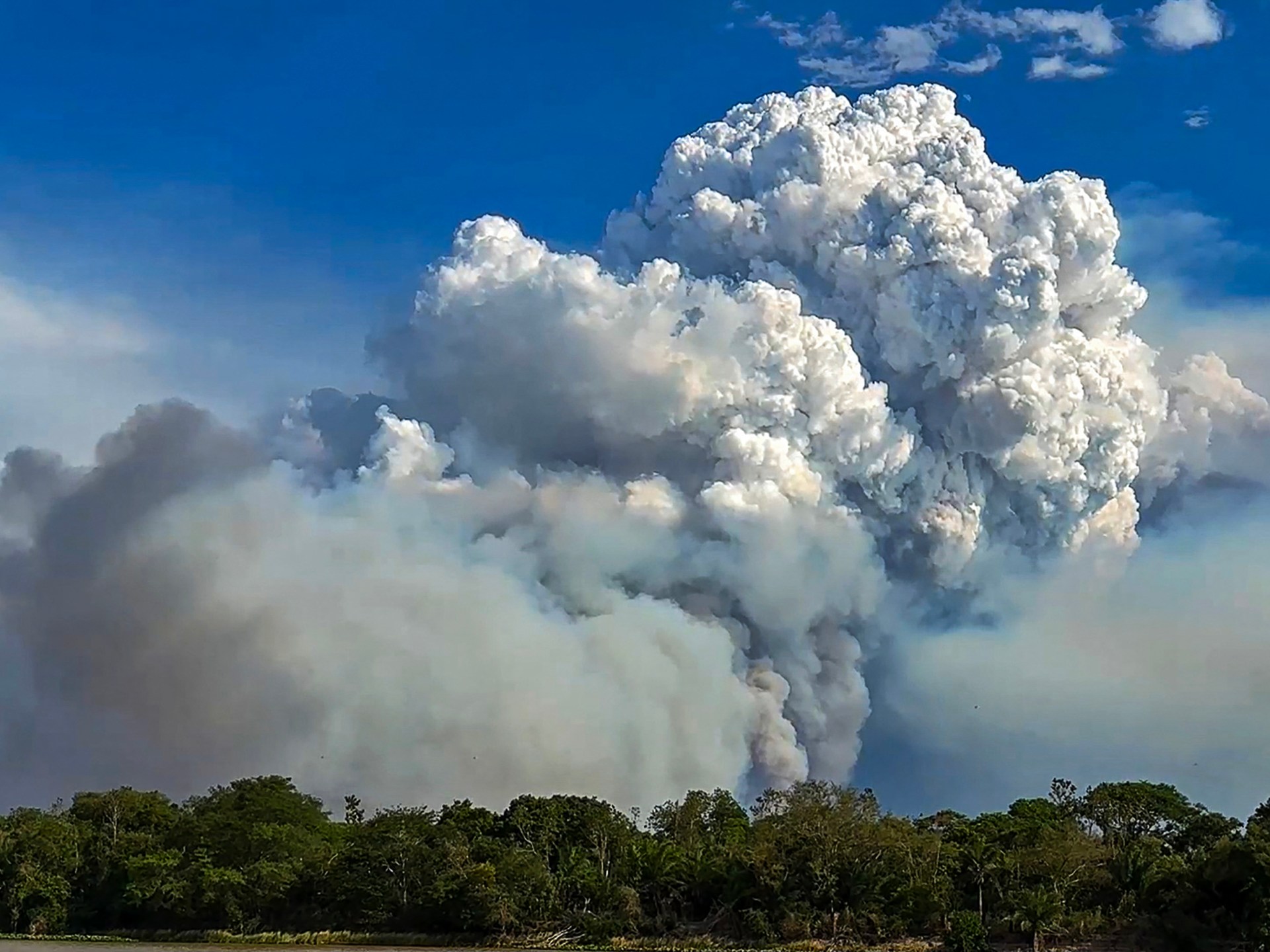 Photos: ‘Out of control’ fires endanger wildlife in Brazil’s wetlands