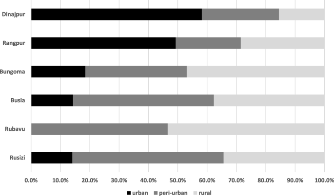 Nutrition transition, double burden of malnutrition, and urbanization patterns in secondary cities of Bangladesh, Kenya and Rwanda