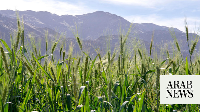 Experts in sustainable agriculture gather in Riyadh