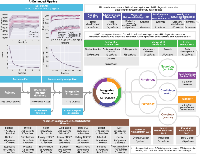 The Imageable Genome