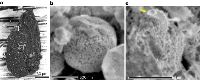 Influx of nitrogen-rich material from the outer Solar System indicated by iron nitride in Ryugu samples