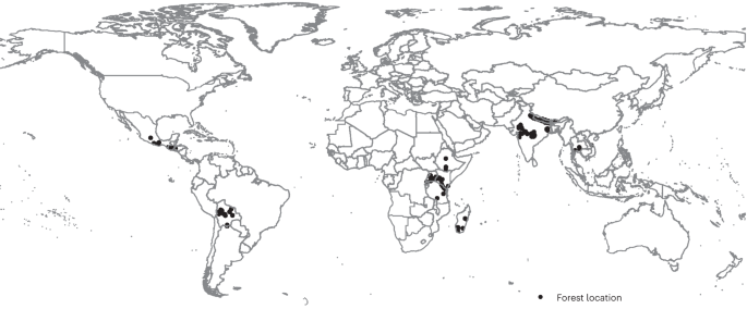 Community forest governance and synergies among carbon, biodiversity and livelihoods