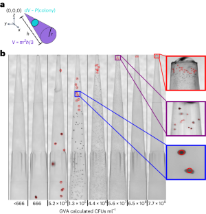 A geometry-based approach to make viable-cell counting easy and cheap