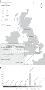 Ancient dental calculus reveals oral microbiome shifts associated with lifestyle and disease in Great Britain