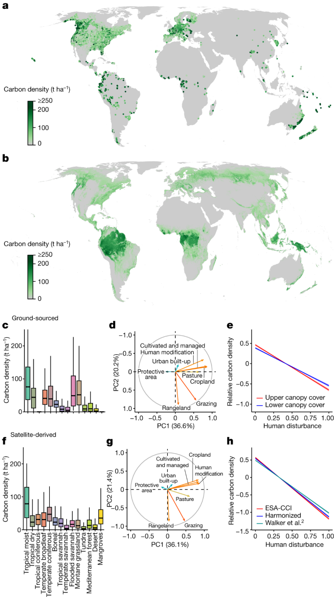 Integrated global assessment of the natural forest carbon potential