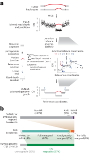 A mass balance principle for finding loose ends in cancer genomes