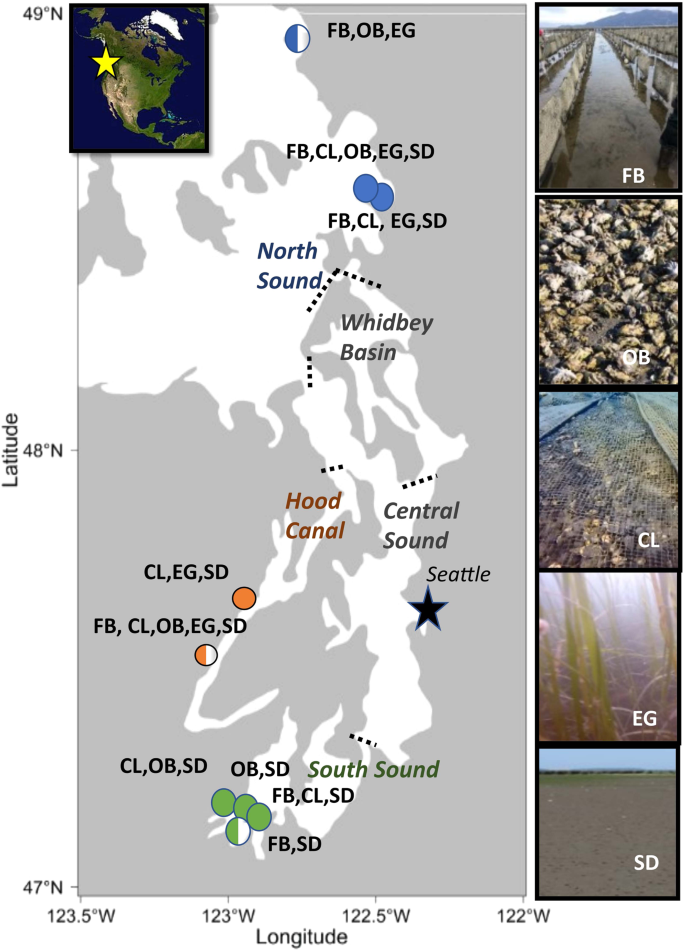 A labeled data set of underwater images of fish and crab species from five mesohabitats in Puget Sound WA USA