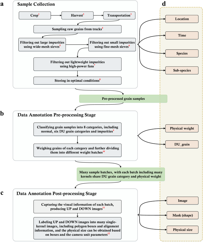 An annotated grain kernel image database for visual quality inspection