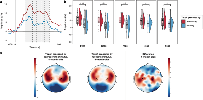 Visual objects approaching the body modulate subsequent somatosensory processing at 4 months of age