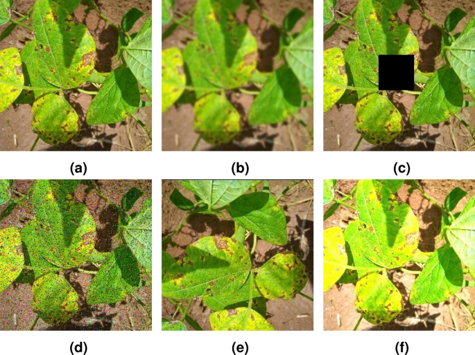 A classification method for soybean leaf diseases based on an improved ConvNeXt model