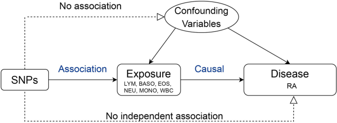 Genetic evidence for causal effects of leukocyte counts on risk for rheumatoid arthritis