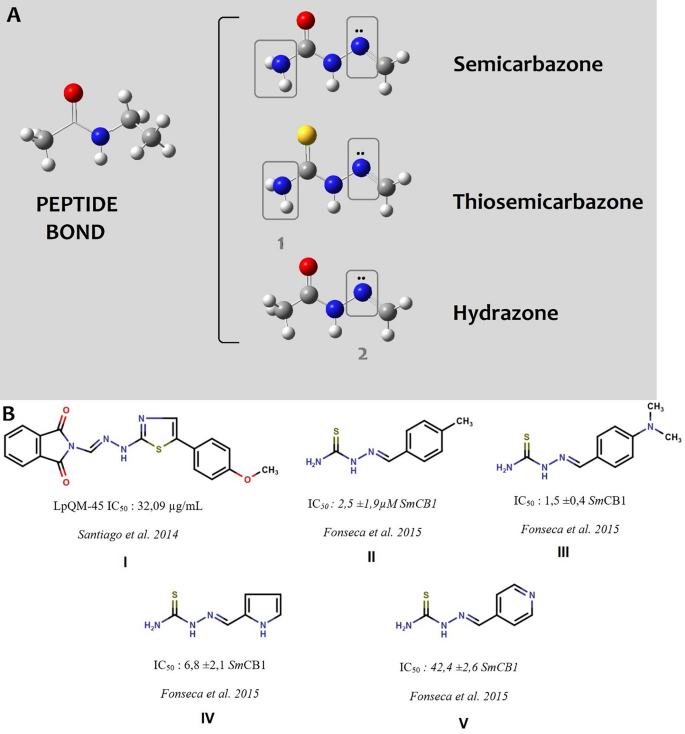 Targeting the Schistosoma mansoni nutritional mechanisms to design new antischistosomal compounds