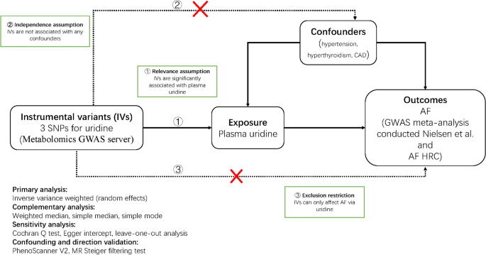 Protective effect of uridine on atrial fibrillation: a Mendelian randomisation study