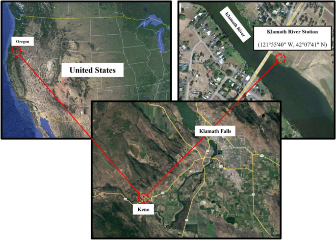 Predicting water quality through daily concentration of dissolved oxygen using improved artificial intelligence