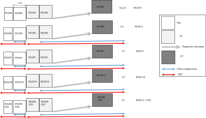 Effect of automated head-thorax elevation during chest compressions on lung ventilation: a model study