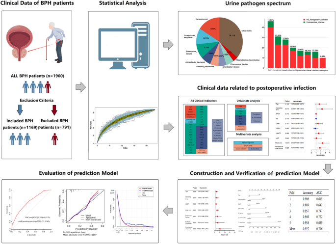 Pathogen species are the risk factors for postoperative infection of patients with transurethral resection of the prostate: a retrospective study